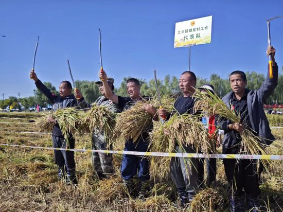 寧夏賀蘭縣總工會舉辦水稻收割勞動技能競賽